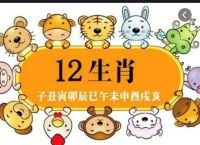 旺今期打一个正确数字