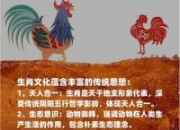 出红花是什么生肖