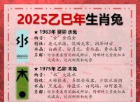 今期人人都养兔打一个正确生肖