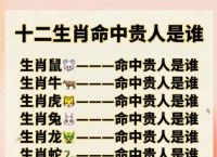 包含今期生肖看东门是指什么生肖的词条