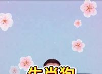 “走四方实力雄厚 得道法高”打一准确动物生肖