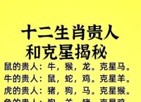 三三打一生肖是什么动物