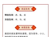 今期生肖找永火打一数字