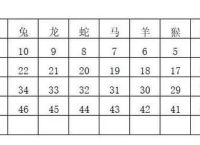 今期选一码是什么生肖