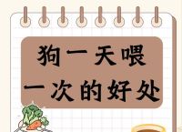 今期喂好正确答案