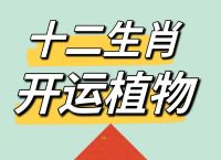 遍地开红花是什么生肖,遍地开红花是什么生肖动物