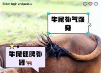 今期零尾要看好正确答案是不是牛