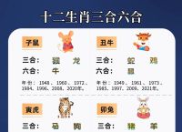 今期生肖是南方最厉害的生肖吗