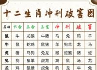 鸡与什么生肖相冲相克相刑相害