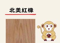 今期生肖木头左右好是什么生肖