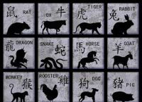 今期生肖排第一最准的动物是什么