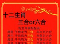今期生肖三三开是什么意思