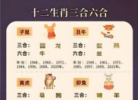 积打一生肖动物