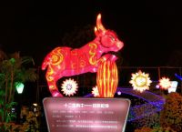 今年什么生肖开银花