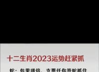 今期生肖是好人
