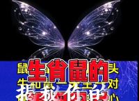 今期生肖克龙鼠指什么生肖呢