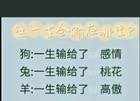 今期生肖不说二正确动物