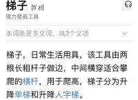 梯子软件苹果,iphone梯子软件 知乎