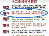 今期特出在狗正确生肖