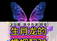 龙跟什么生肖最好