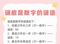 玄机猜一个数字思