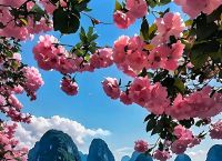 山水如画醉人意打一生肖