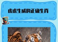 虎虎生威开过最准确的生肖