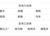 今期玄机三六点什么生肖,今期生肖看上期,三六必开物数定是什么生肖