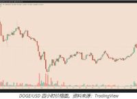 狗狗币今日价格行情走势：投资策略与风险管理指南