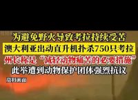 揭露扑杀750只考拉背后的生态挑战与保护措施