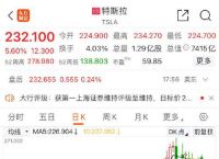 特斯拉股票实时,特斯拉股票实时最新消息