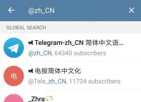 telegreat苹果版下载,telegreat苹果版下载链接