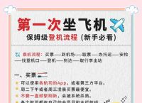 轻松搞定纸飞机怎么申请订阅，享受会员福利