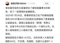 碧桂园服务借给杨惠妍10亿元的资本运作解析