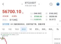 比特币最新行情走势图美元：实时分析与投资策略