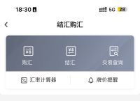 今日奥拉丁币价目表：全面分析与投资策略