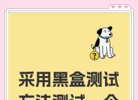 黑盒测试工具推荐及下载攻略：Burp Suite与Acunetix功能比较