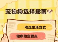 深入了解狗狗币交易系统和平台选择指南