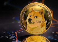 狗狗币市值达到500亿美元的背后：投资策略与未来走势分析