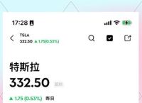 特斯拉股票历史回顾：从2000跌到400的投资启示