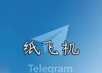 纸飞机怎么切换中文版？详细步骤和注意事项