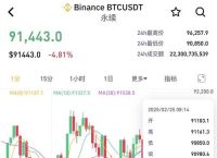 比特币价格美元实时行情分析及投资策略