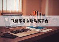 飞机账号自助购买平台,飞机账号自助购买平台是什么