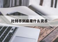 比特币到底是什么货币,你知道比特币是什么吗?