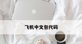 飞机中文包代码,飞机中文安装包代码