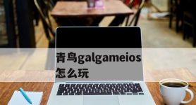 青鸟galgameios怎么玩,汉化版galgame网站krkr