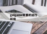 galgame需要的运行环境,galgame运行需要什么文件