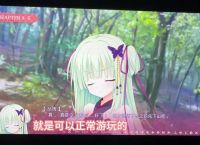 galgame下载app,GalGame下载好怎么安装