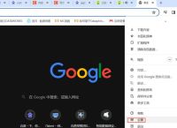 谷歌浏谷歌览器网页版入口,谷歌浏览器网页版入口中文版
