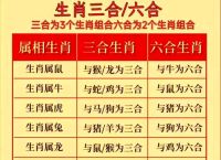 独打一生肖最佳答案,独打一动物要最佳答案